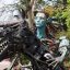 读者凌波的头像——用户评论区头像图