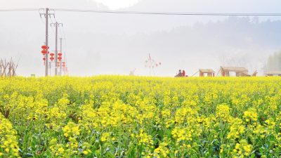 辰巳唯2026年下半年新作预告图——暖色调布景下的预告画面截图